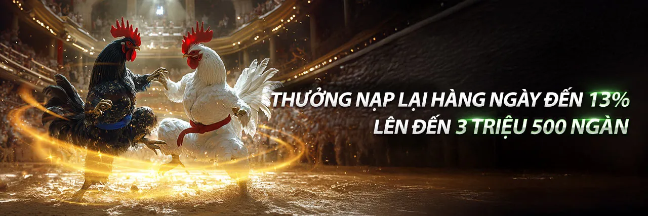 Tin tức và khuyến mãi 20tr88