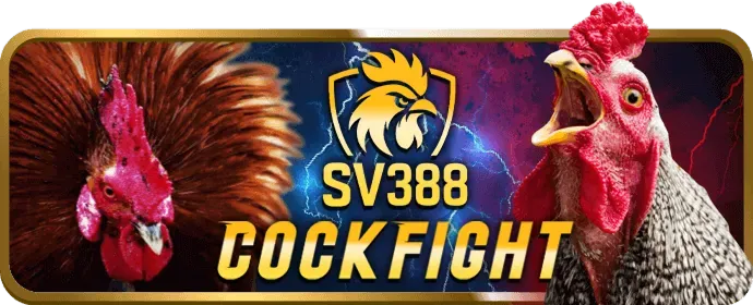 Chương trình VIP và ưu đãi độc quyền 20tr88
